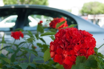DSC_3202.jpg
