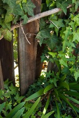 DSC_3206.jpg
