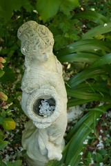 DSC_3212.jpg