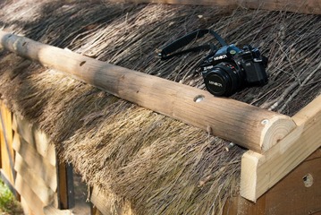 DSC_3226.jpg