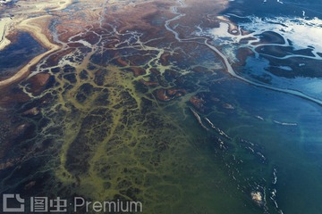 DJI_0274