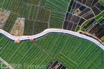 DJI_0178