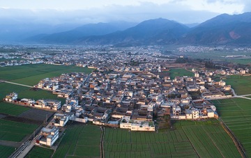缩图_20