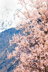 缩_6
