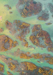 DJI_0307_1