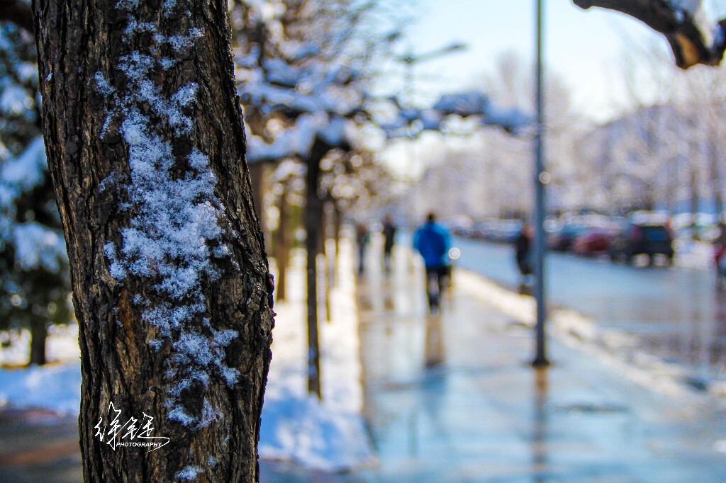 Winter 2012