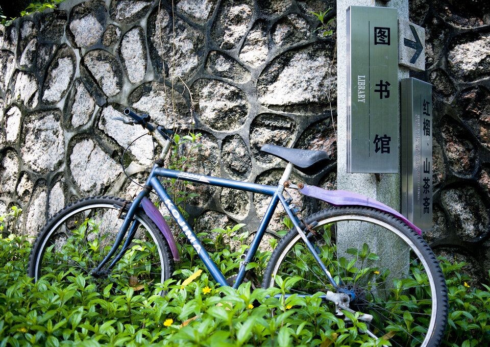 深圳大学<br />