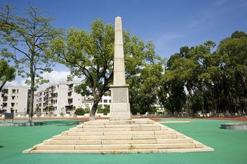 DSC_6465.jpg
