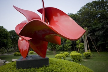 DSC_6975.jpg