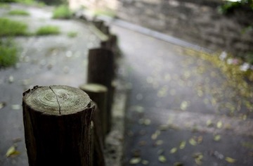 DSC_7285.jpg
