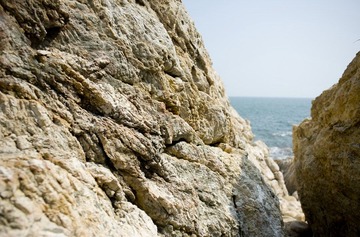 DSC_8587.jpg