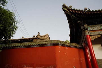 DSC_5952_DxO