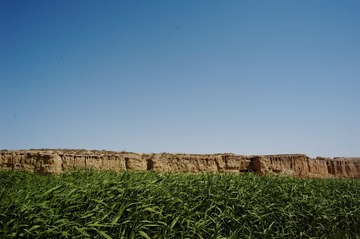 DSC_6006_DxO