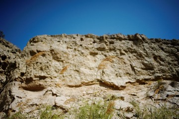 DSC_6029_DxO