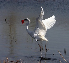 IMG_4560.JPG