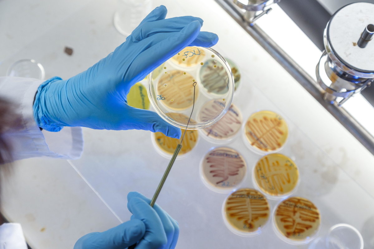 雨后的乡村小路