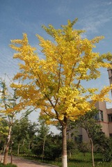 nEO_IMG_DSC_7101.jpg