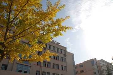 nEO_IMG_DSC_7102.jpg