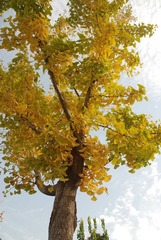 nEO_IMG_DSC_7104.jpg