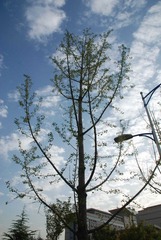 nEO_IMG_DSC_7262.jpg