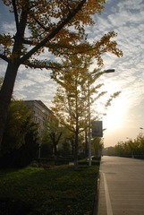 nEO_IMG_DSC_7263.jpg
