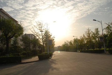 nEO_IMG_DSC_7266.jpg