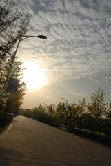 nEO_IMG_DSC_7267.jpg