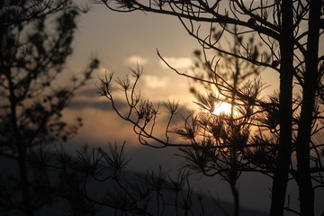 IMG_7572.JPG