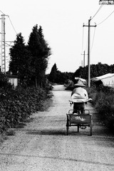 YANJS-JP.jpg