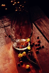 dgYAN (1).jpg