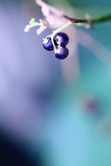 IMG_0399_副本.jpg