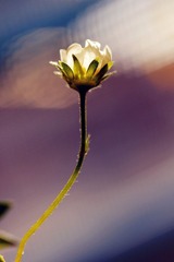 img_7530_副本.jpg