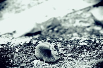 IMG_7720_副本.jpg