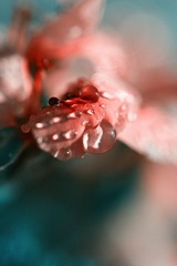 IMG_8447_副本.jpg