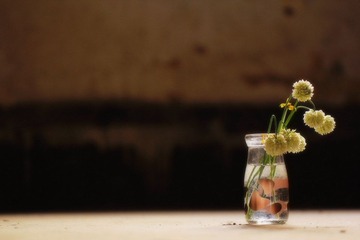 yan (7).jpg