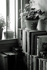 我的房间 (15).jpg