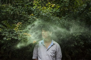 鱼