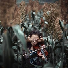 小提琴rou