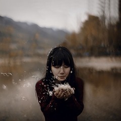芦苇x