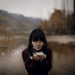 芦苇x