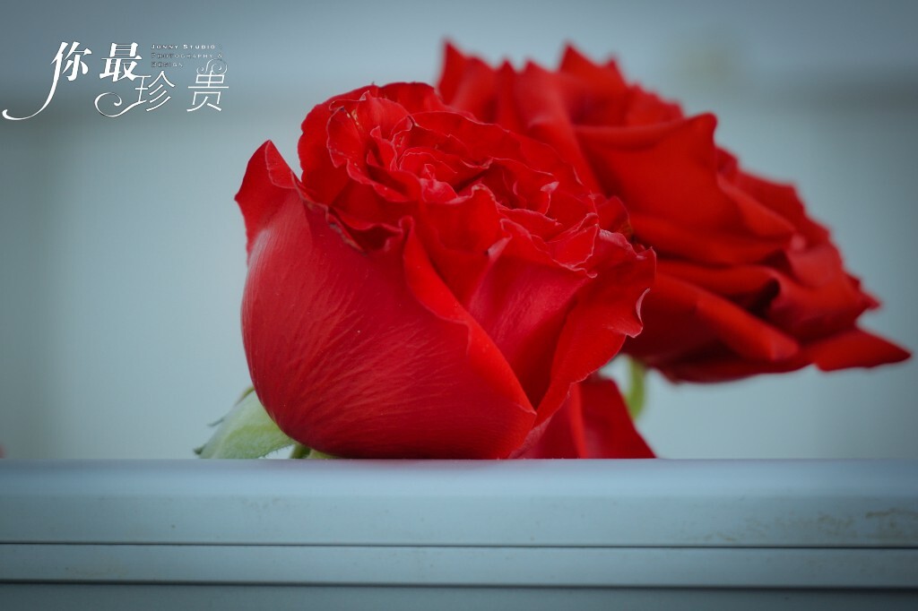 在这阳光的世界里 <br />
有一只长椅 于花丛中 <br />
静静等候你的到来 <br />
它知道 你一定会到来