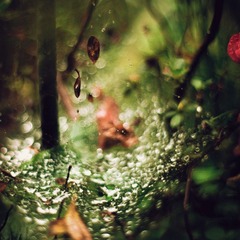 IMG_7976.jpg