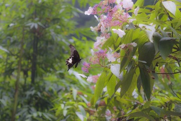 yichang_2015_83