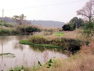 IMG_3221_副本.jpg
