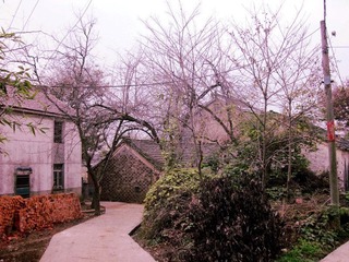 IMG_3245_副本.jpg
