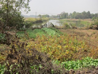 IMG_3214.JPG