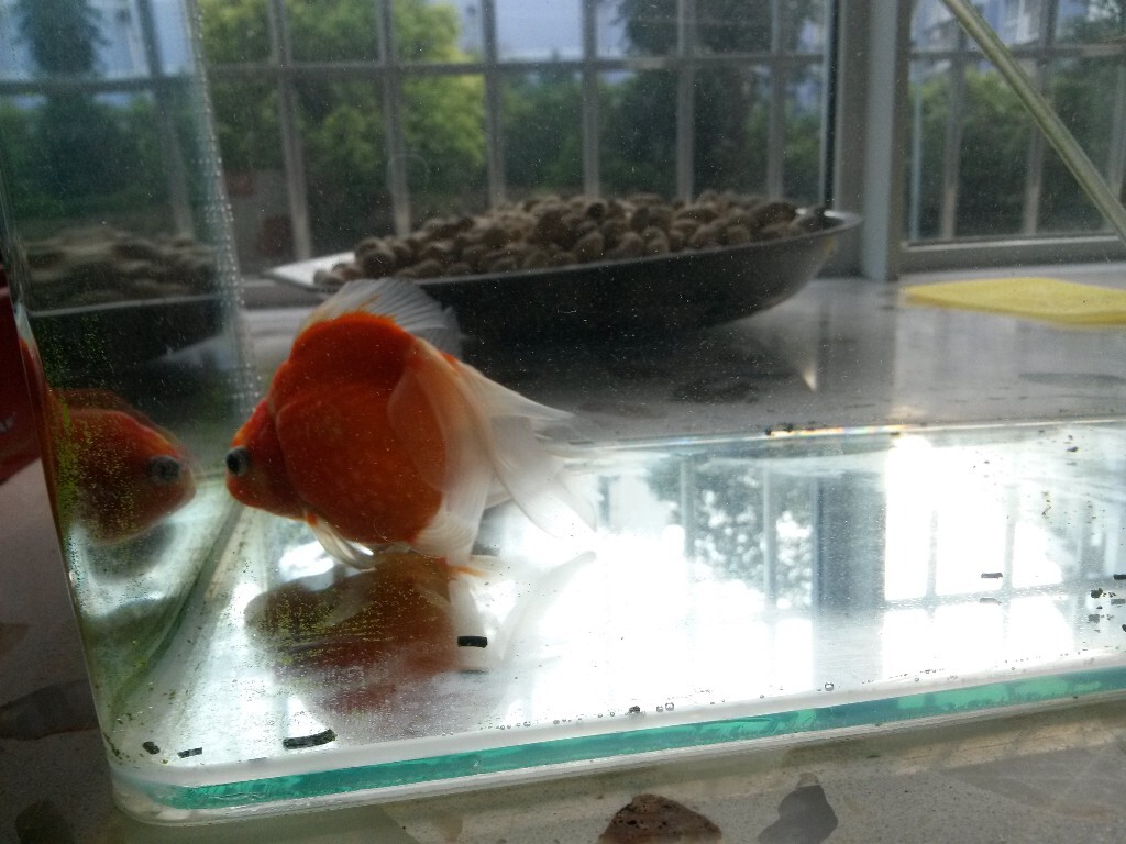 照个相留个影！！