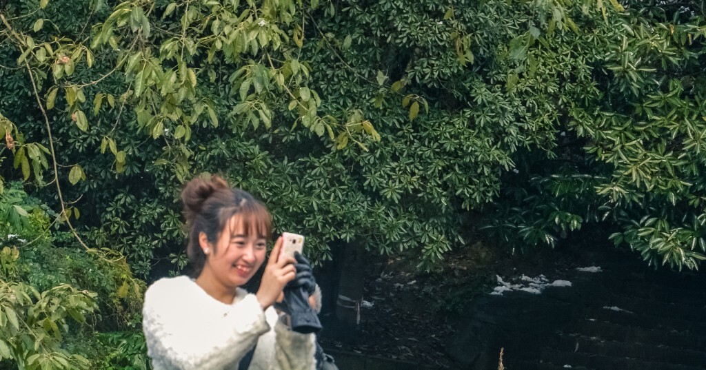 咦。。。。