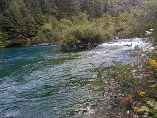 20150812_171208