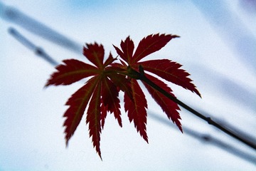 未命名-3-2